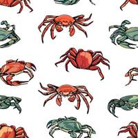 Vintage hand drawn vector seamless pattern. Background of beautiful crabs. Realistic graphic sketches of crustacean animals. Bright surface design.