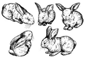 Cute baby rabbits, collection of bunnies. Pretty animals set. Hand drawn vector illustration. Retro style cliparts isolated on white background.