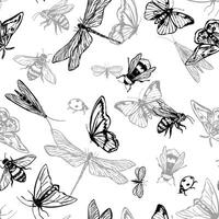 Flying insects vector seamless pattern. Hand drawn illustration of bugs, butterflies, dragonfly, moth, ladybug, bees. Retro style ornament for design background, decor, wallpaper.