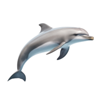 AI generated Dolphin clip art png