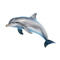 AI generated Dolphin clip art png