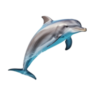 AI generated Dolphin clip art png