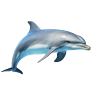 AI generated Dolphin clip art png