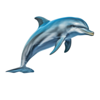 ai generato delfino clip arte png