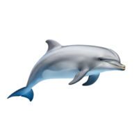 AI generated Dolphin clip art png