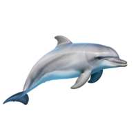 AI generated Dolphin clip art png