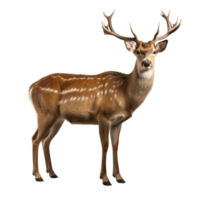 AI generated Deer clip art png