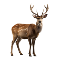 AI generated Deer clip art png