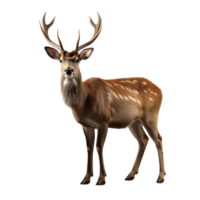 AI generated Deer clip art png