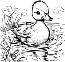 Cute Duck Coloring Pages For Kids and Toddlers vector