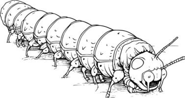 Cutworm Coloring Page For Kids vector