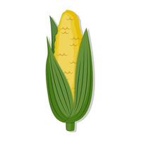 Vegetable sweet corn cartoon illustration vector