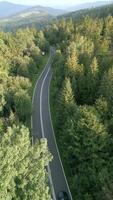 Car driving a mountain road in summer. video