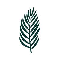 Palm leaf illustration vector