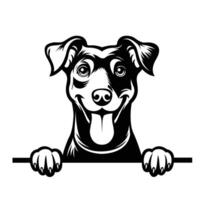 AI generated Black And White Manchester Terrier peeking face illustration vector