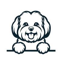 AI generated Black And White Maltese peeking face illustration vector