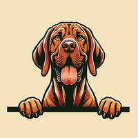 AI generated Bracco dog peeking face isolated illustration vector