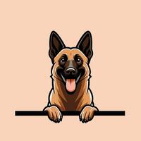 AI generated Belgian Shepherd dog peeking face isolated Pro Vector