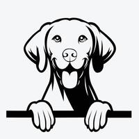 AI generated Black And White Vizsla peeking face illustration vector