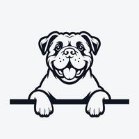 AI generated Black And White American Bulldog peeking face illustration vector