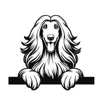 AI generated Black And White Afghan Hound dog peeking face Silhouette illustration vector