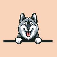 AI generated Norwegian Elkhound dog peeking face isolated Pro Vector