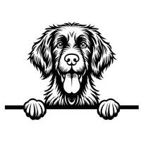 AI generated Black And White German Wirehaired Pointer dog peeking face illustration vector