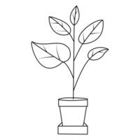 Continuous one line drawing tree plant growth progress single line vector art illustration