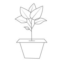 Continuous one line drawing tree plant growth progress single line vector art illustration