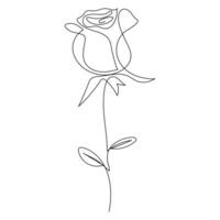 Continuous single One line rose design hand drawn drawing roses line art illustration vector