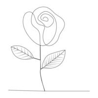 Continuous single One line rose design hand drawn drawing roses line art illustration vector