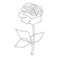 Continuous single One line rose design hand drawn drawing roses line art illustration vector