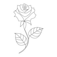 Continuous single One line rose design hand drawn drawing roses line art illustration vector