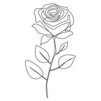 Continuous single One line rose design hand drawn drawing roses line art illustration vector