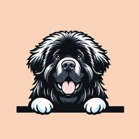 AI generated Newfoundland dog peeking face isolated Pro Vector