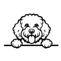 AI generated Black And White Lagotto Romagnolo peeking face illustration vector