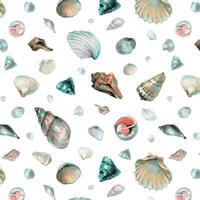 Seashell Pattern on isolated background. Hand drawn watercolor seamless ornament with Sea Shells for wrapping paper or textile in nautical style. Underwater illustration with cockleshell and scallop vector