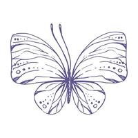 delicado mariposa con patrones en el alas, simple, dulce, luz, romántico. ilustración gráficamente dibujado a mano en lila tinta en línea estilo. aislado eps vector objeto