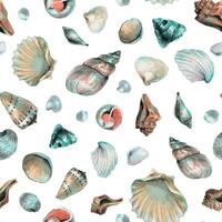 Seashell Pattern on isolated background. Hand drawn watercolor seamless ornament with Sea Shells for wrapping paper or textile in nautical style. Underwater illustration with cockleshell and scallop vector