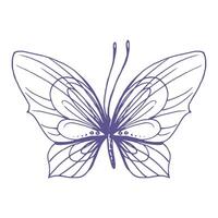 Delicate butterfly with patterns on the wings, simple, sweet, light, romantic. Illustration graphically hand-drawn in lilac ink in line style. Isolated EPS vector object