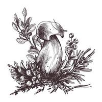 bosque porcini seta con alerce, arándano rojo, musgo y cono. gráfico botánico ilustración mano dibujado en marrón tinta. para recetas, embalaje, otoño festival, cosecha. aislado composición. vector