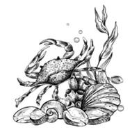 Underwater world clipart with sea animals crab, shells, coral and algae. Graphic illustration hand drawn in black ink. Composition EPS vector