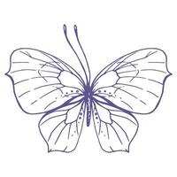 Delicate butterfly with patterns on the wings, simple, sweet, light, romantic. Illustration graphically hand-drawn in lilac ink in line style. Isolated EPS vector object