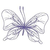 delicado mariposa con patrones en el alas, simple, dulce, luz, romántico. ilustración gráficamente dibujado a mano en lila tinta en línea estilo. aislado eps vector objeto