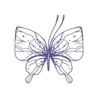 Delicate butterfly with patterns on the wings, simple, sweet, light, romantic. Illustration graphically hand-drawn in lilac ink in line style. Isolated EPS vector object