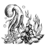 Underwater world clipart with sea animals octopus, shells, coral and algae. Graphic illustration hand drawn in black ink. Composition EPS vector. vector