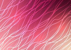 Abstract presentation line wave curve pink pattern background vector