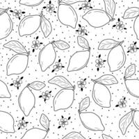 Hand drawn vector monochrome seamless pattern with lemon, leaves and flower in sketch style.