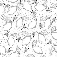 Hand drawn vector monochrome seamless pattern with lemon, leaves and flower in sketch style.