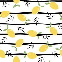 Fresh yellow fruits of lemon, lime, with leaves. Seamless citrus texture on a strip background. Doodle Minimal Style. vector